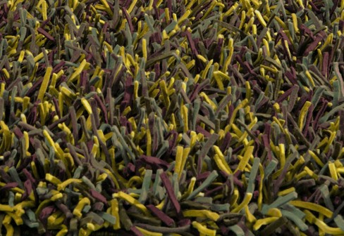 nanimarquina_seagrass1